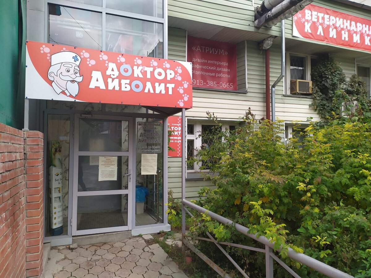 Команда клиники Доктор Айболит